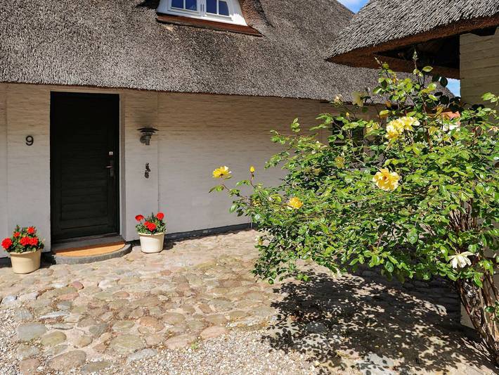 Ferienhaus für 6 Personen, mit Terrasse, mit Haustier in Båring Strand - 3