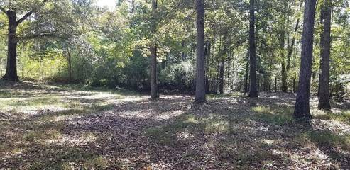 Camping for 5 Guests in Kentucky Lake, Tennessee, Picture 4