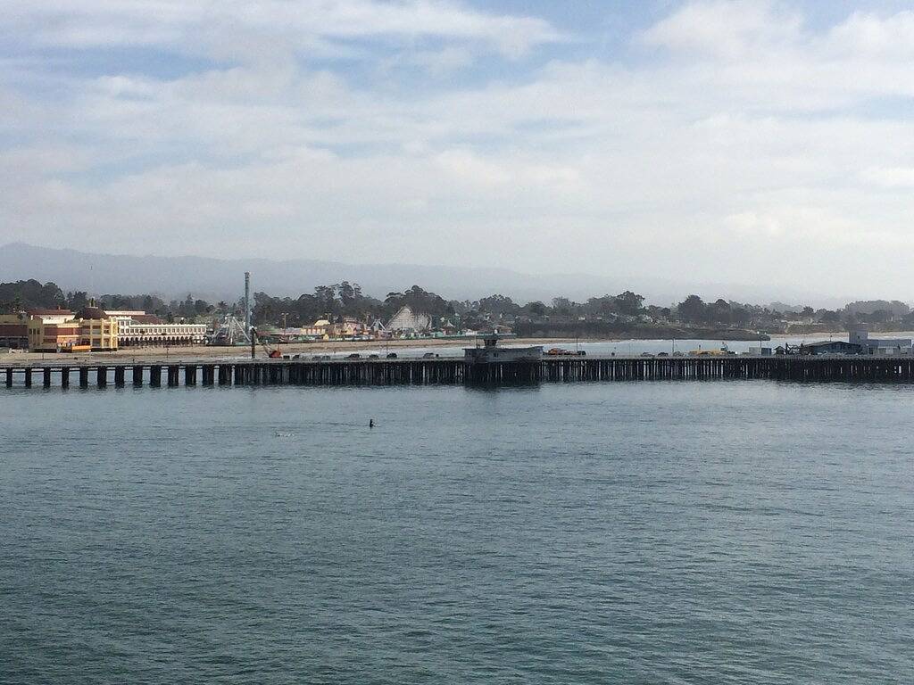 Seabright Bungalow - nur wenige Schritte zum Strand in Seabright, Santa Cruz