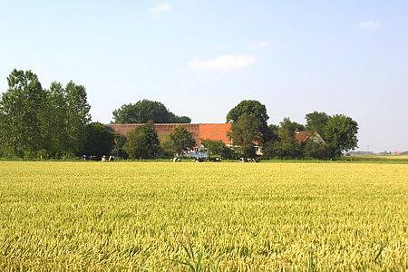 Bauernhof für 5 Personen, mit Garten, kinderfreundlich an der Nordsee - 3
