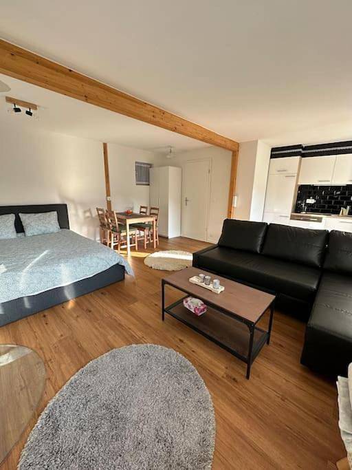 Gîte pour 4 personnes, avec vue et jardin à Gruyères - 4