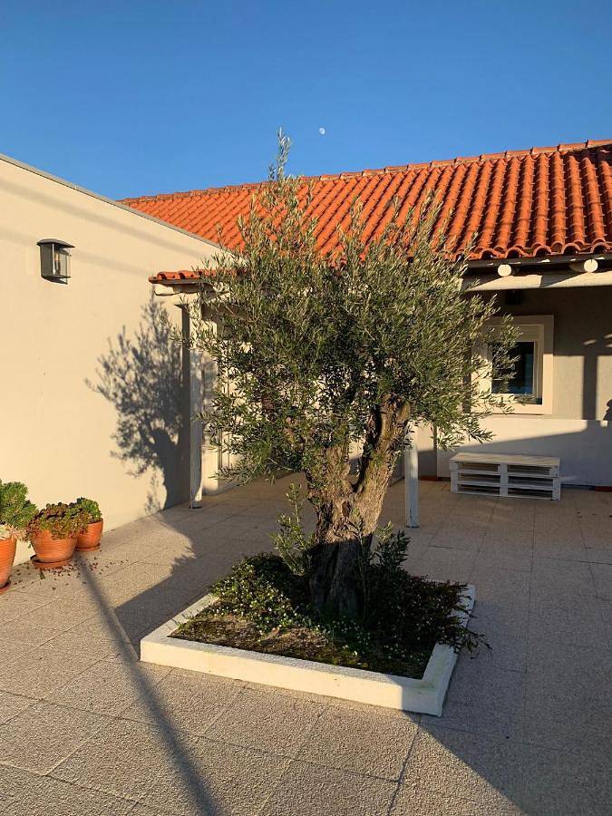 Location de vacances pour 7 personnes, avec Terrasse ainsi que Jardin et Piscine à Vendas Novas