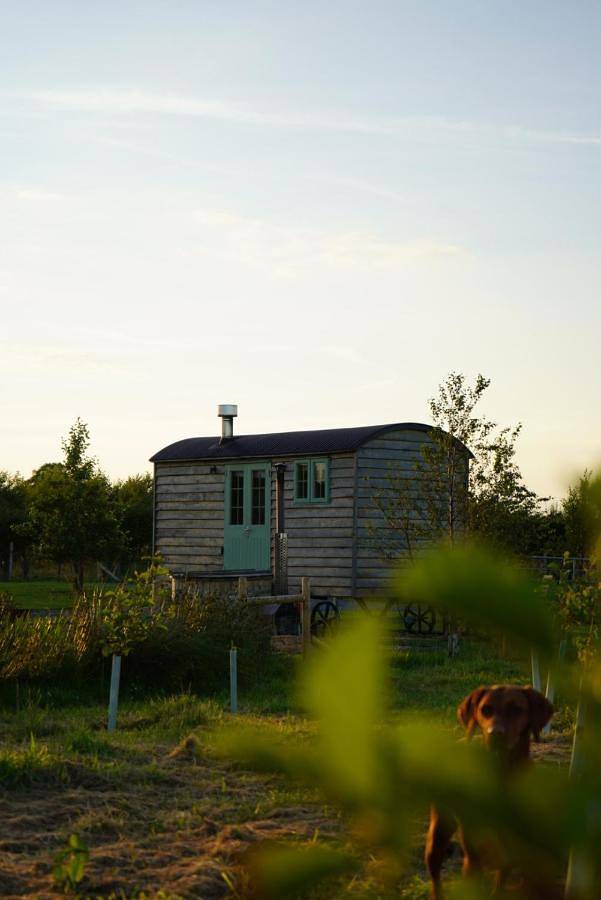 Camping für 2 Personen, mit Seeblick und Garten sowie Terrasse und Ausblick in Nordirland - 4