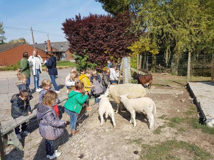 Location de vacances pour 6 personnes, avec vue et jardin dans Beveren (Flandre-Orientale) - 2