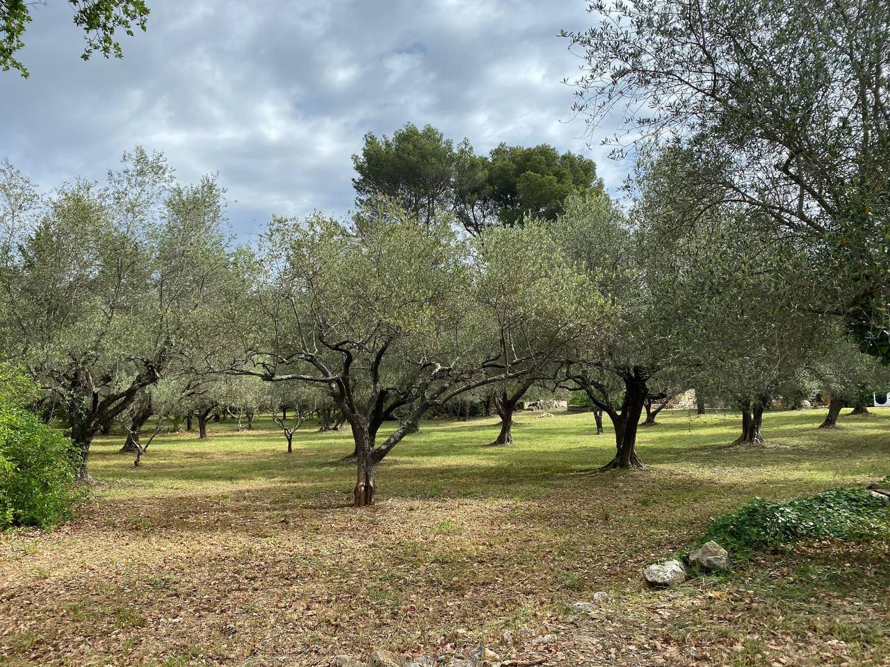 Klimatisiertes Mas Les Heures Bleues mit Pool in Lorgues, Region de Draguignan