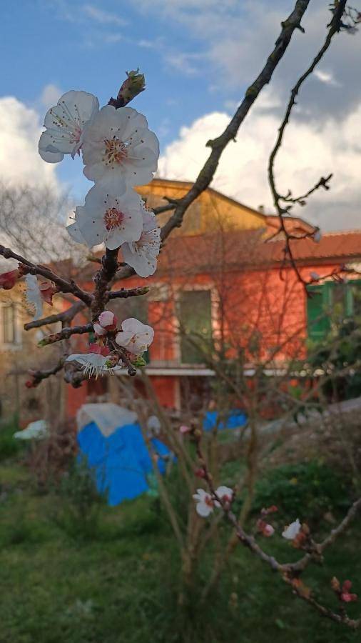 Bed and breakfast per 2 persone, con balcone e panorama nonché giardino - 1