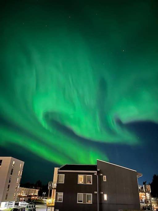 Ferienwohnung für 2 Personen, mit Garten und Ausblick in Nord-Norwegen - 2