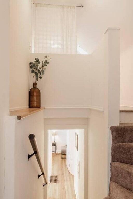 Christmas Tree - Best Neighborhood - Royal Oak in Oakland County