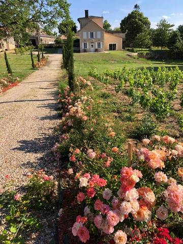Gîte pour 3 personnes, avec vue ainsi que piscine et jardin à Saint-Philippe-d'Aiguille