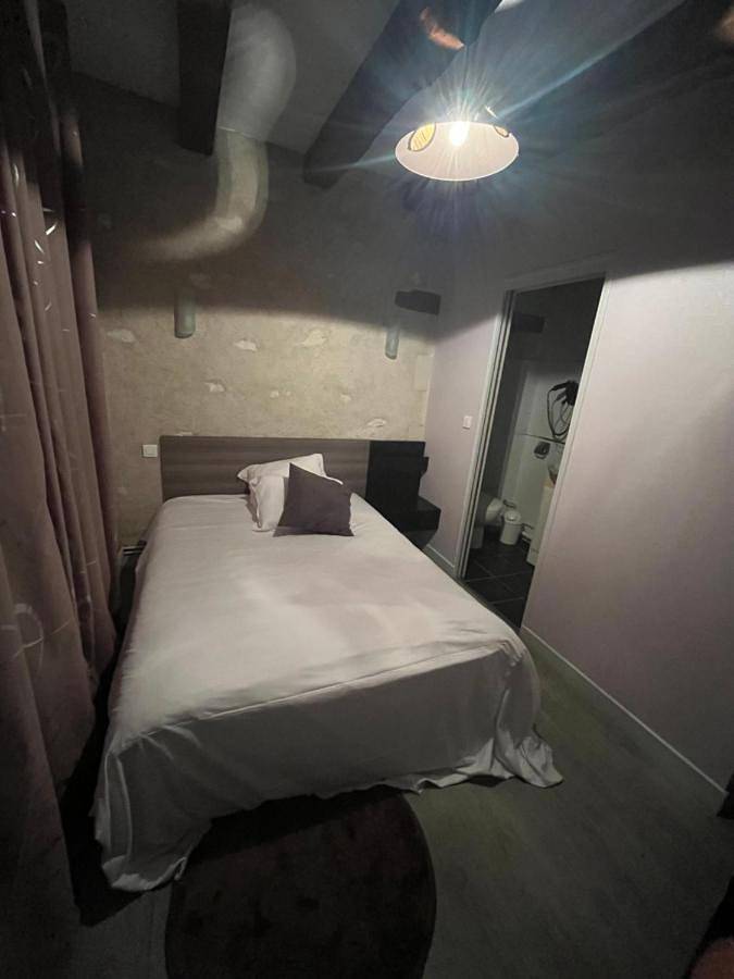 Hôtel pour 18 personnes, avec terrasse à Azay-le-Ferron - 4