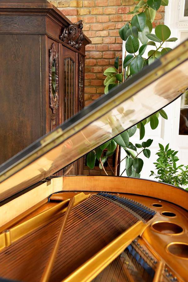 Villa pour 13 personnes, avec vue et jardin à Budapest - 4