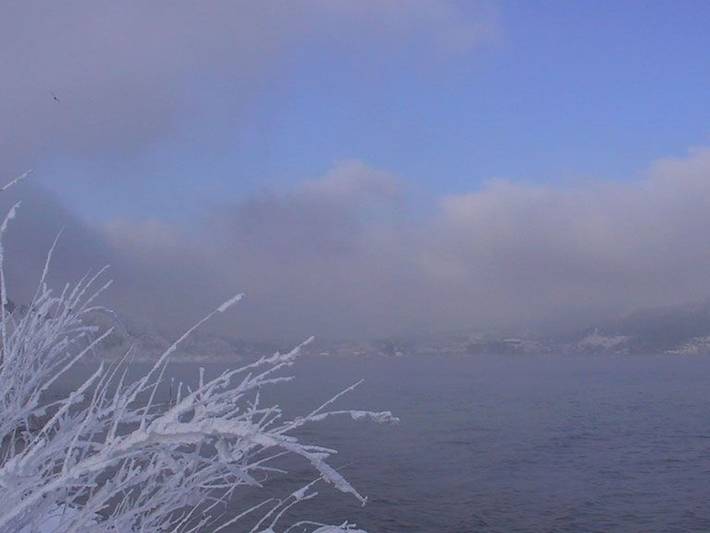 Ferienwohnung für 4 Personen, mit Garten, mit Haustier im Salzkammergut - 3