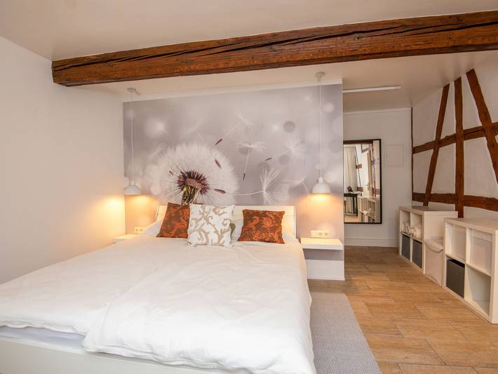 Ferienwohnung für 4 Personen, mit Terrasse und Garten in Suhl - 4