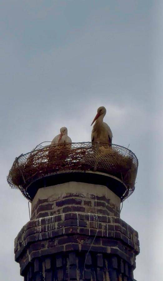 Location de vacances pour 2 personnes, avec sauna ainsi que vue et terrasse, animaux acceptés à Mladá Boleslav - 2