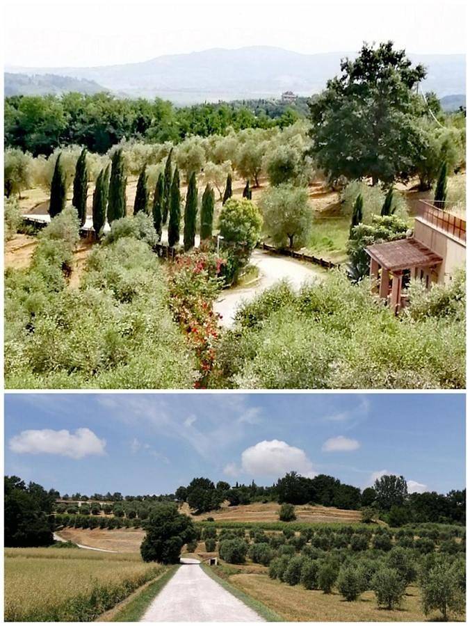 Casa vacanza per 2 persone, con giardino e panorama - 1