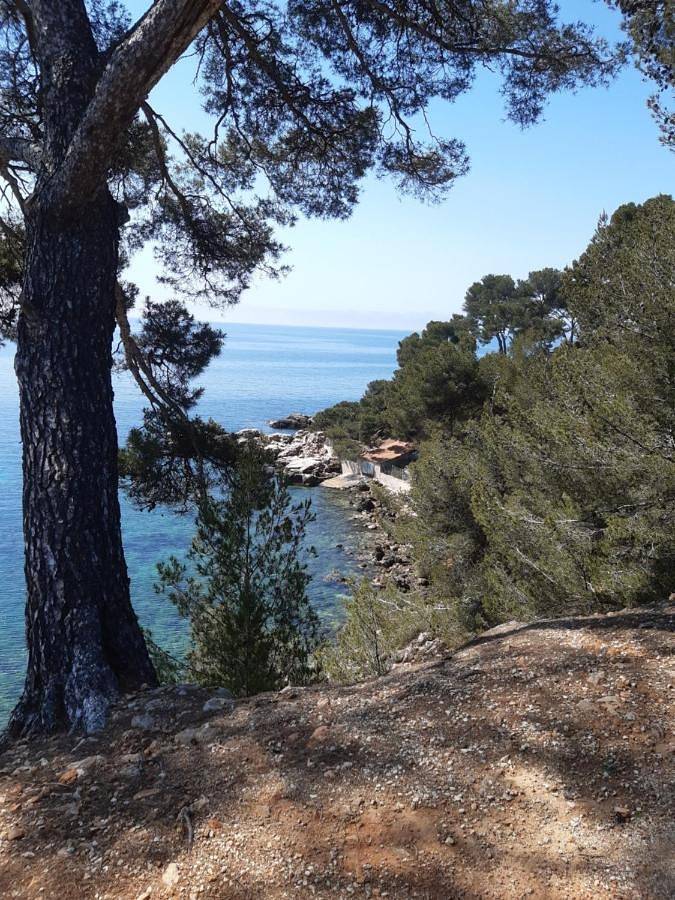 Ferienwohnung für 2 Personen, mit Terrasse und Ausblick in Bandol - 4