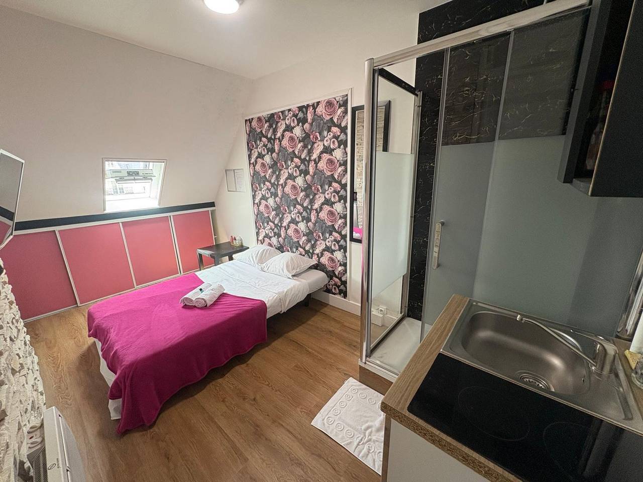 Ganzes Studio, Studio für 2 Personen in Eiffelturm, Paris