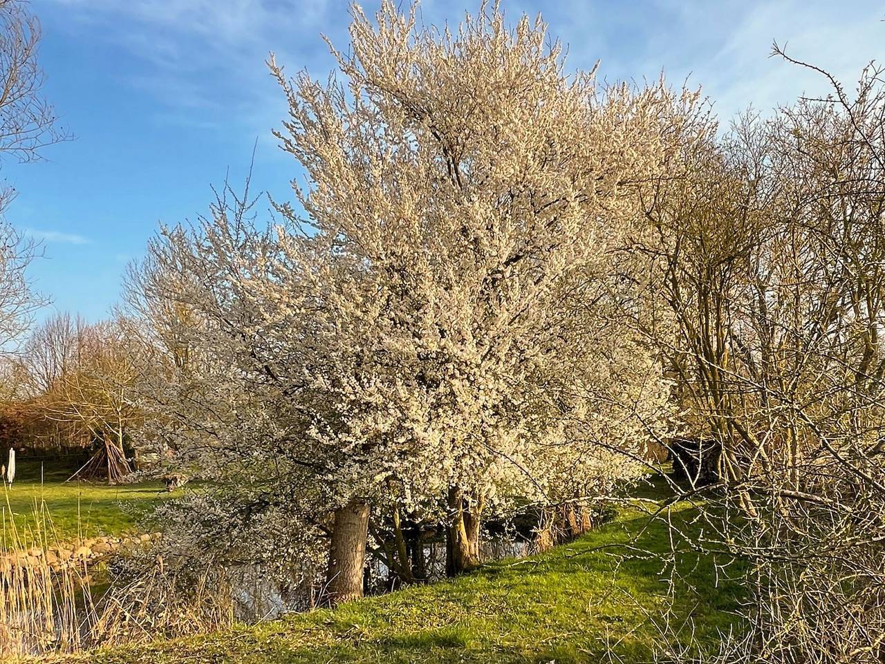 Gästescheune Rubitz - Scheune in Kenz-Küstrow, Vorpommern-Rügen