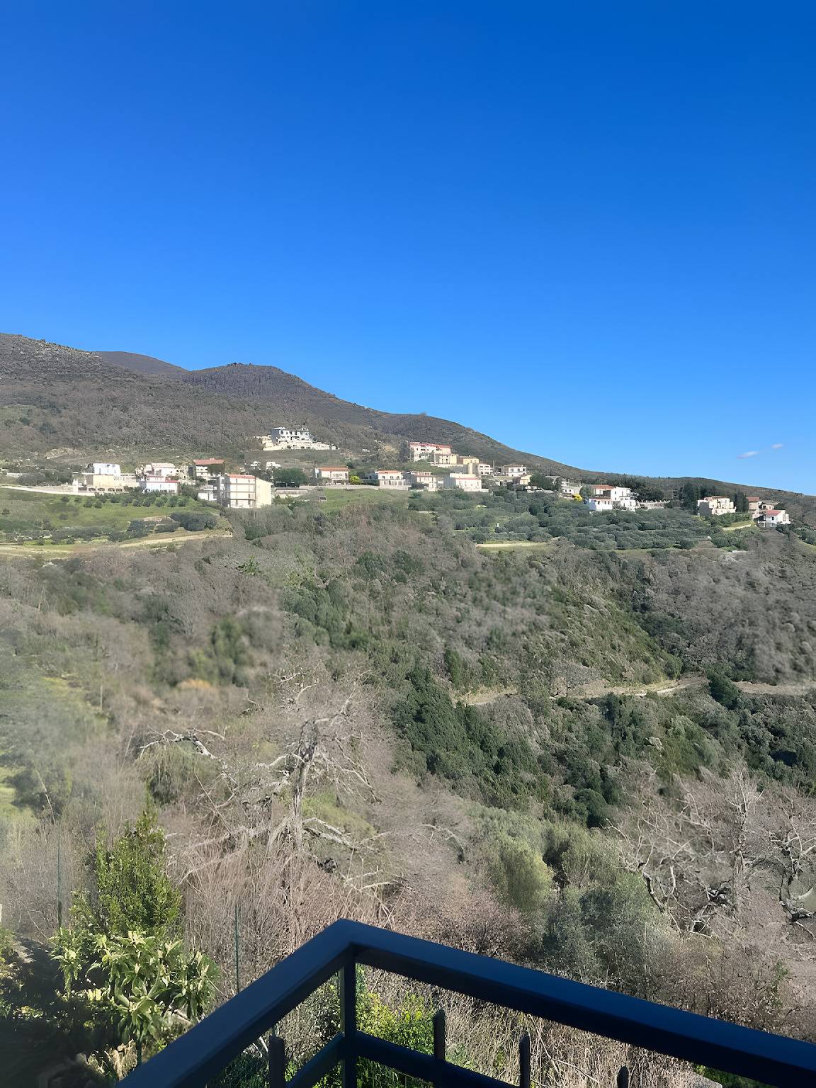 Camera 'Camera Gialla Vista Mare e Monti' con Vista Mare, Wi-Fi e Aria Condizionata in San Mauro Cilento, Cilento