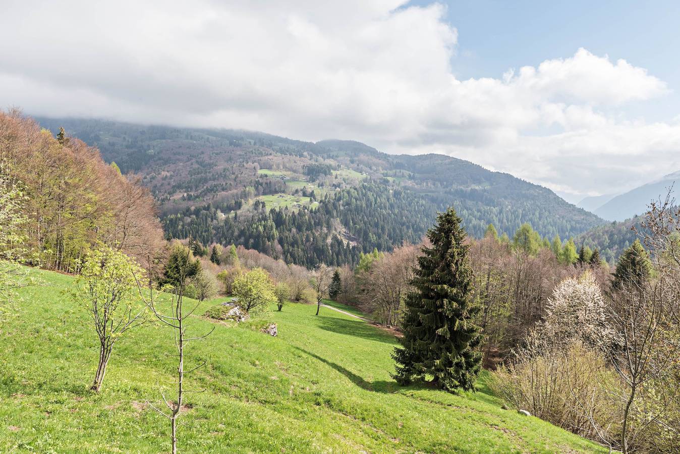Bellissima casa vacanze "Baita Rustica immersa nel verde" con vista sulle montagne in Roncone, Sella Giudicarie