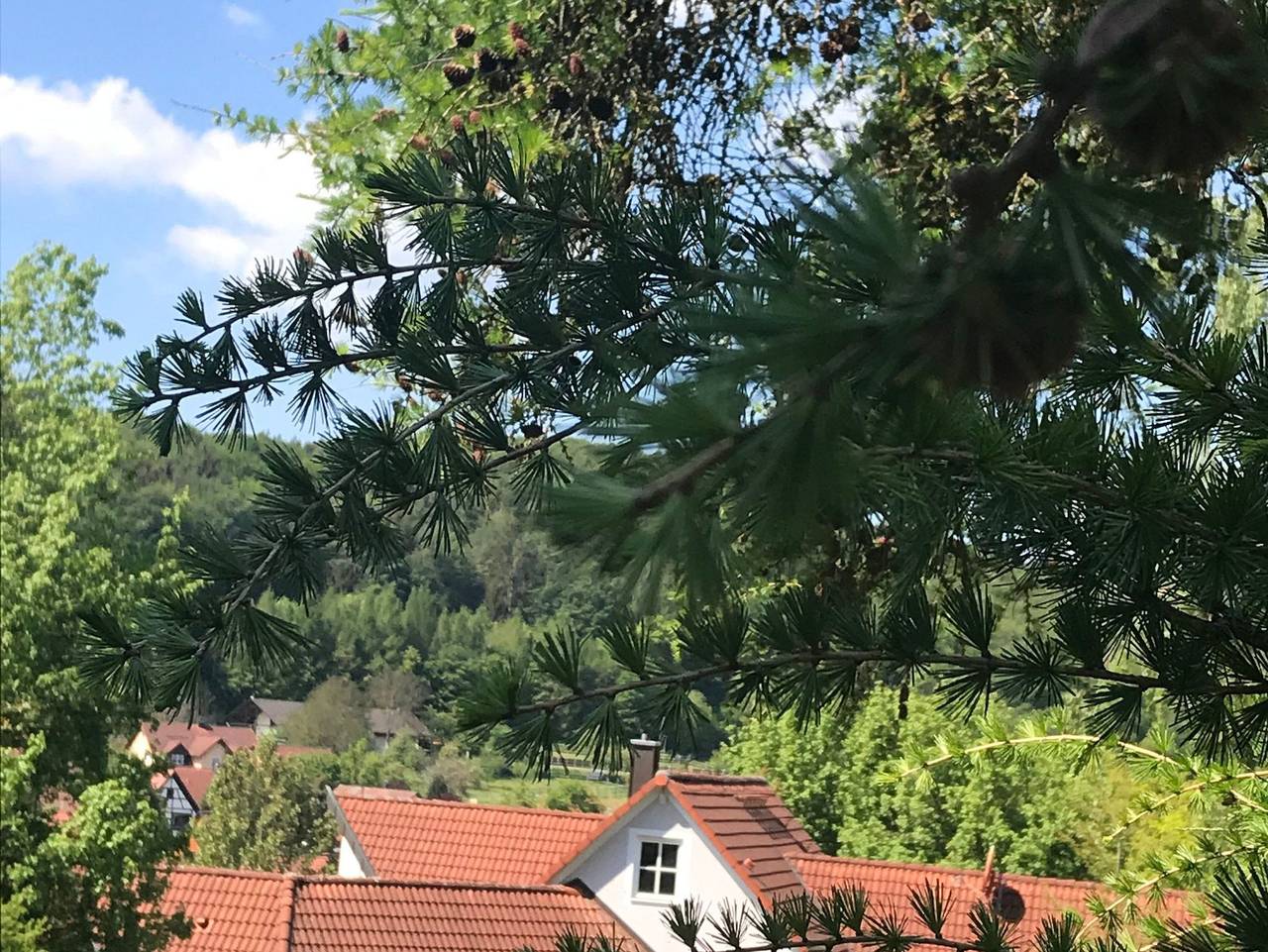 Ganze Ferienwohnung, Villa Frauenstein - Ferienwohnung 4 in Wiesenttal, Fränkische Schweiz