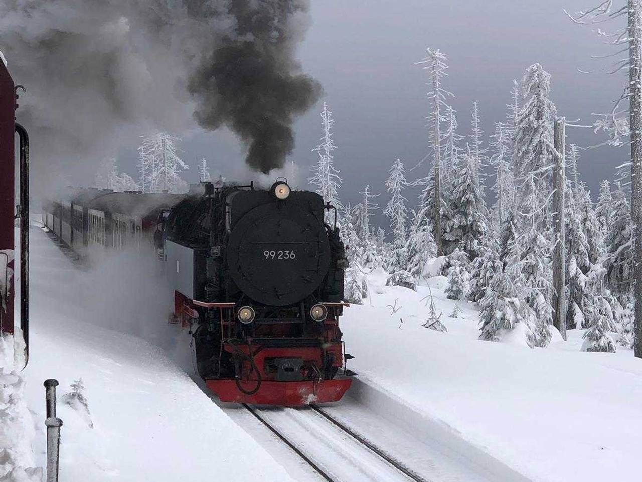 Ganze Ferienwohnung, Ferienwohnung Harz Moni Werner - Ferienwohnung in Wernigerode, Harzvorland