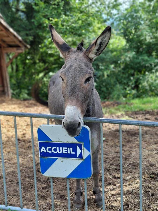La Maison de Jean in Les Adrets, Le Pleynet Les Sept Laux