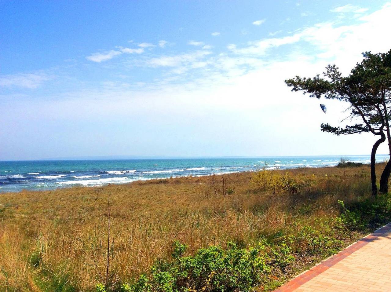 Ferienwohnung in Rügen ab 68€ pro Nacht