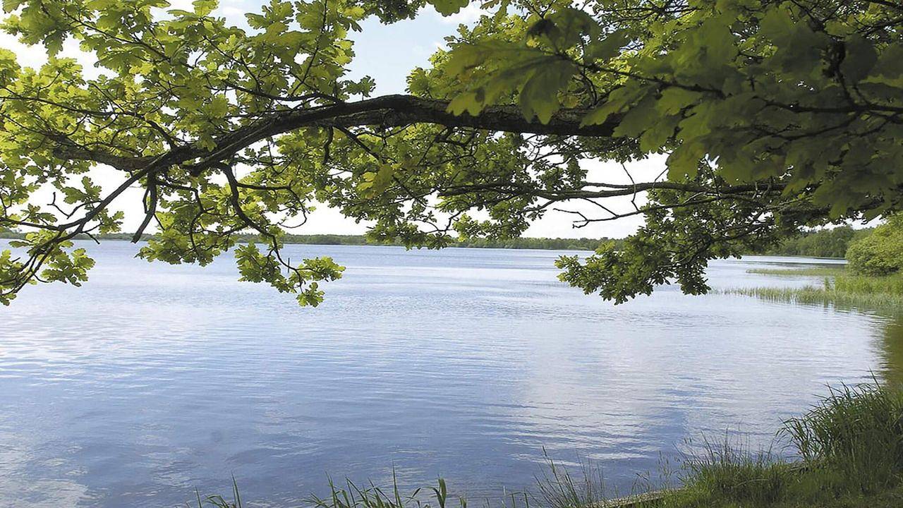 Ferienhaus für 7 Personen (82 m²) in Ansager in Varde