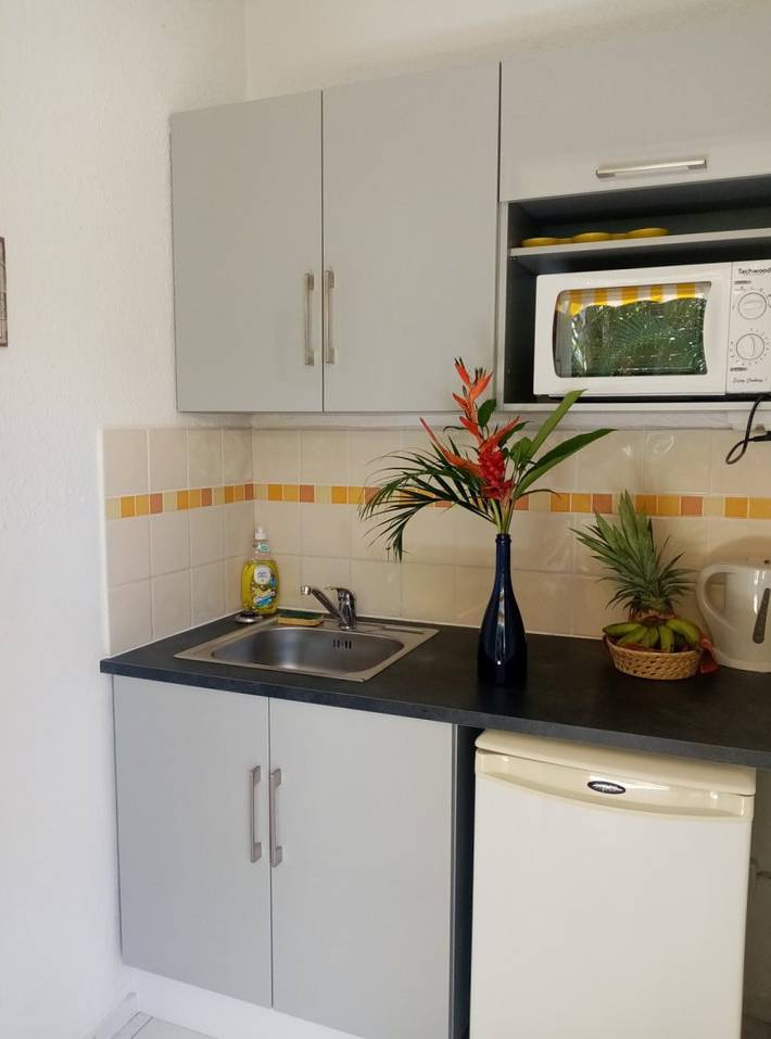 Gîte pour 3 personnes, avec terrasse ainsi que jardin et piscine dans Pointe-à-Pitre - 4