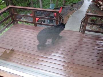 Chalet für 4 Personen in Anchorage, Alyeska, Bild 3