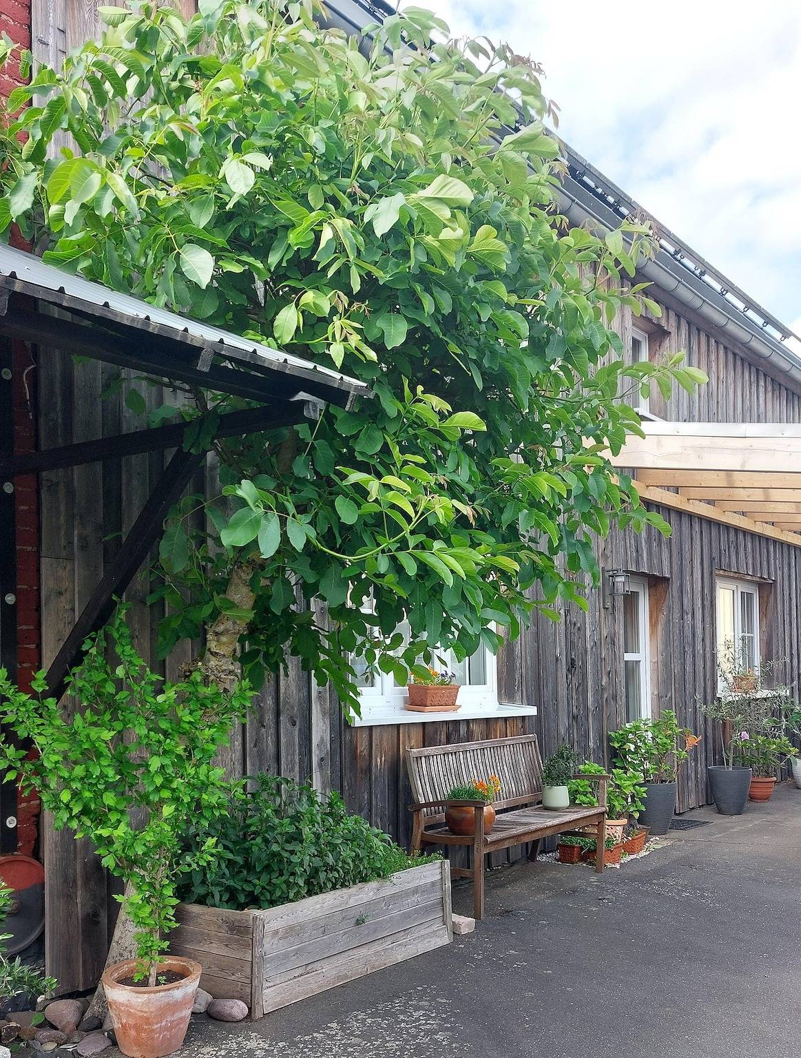 Ganze Ferienwohnung, Appartement, 1 Schlafzimmer, 1 Wohn-Koch-Esszimmer, Badezimmer in Höhn, Westerburg & Umgebung