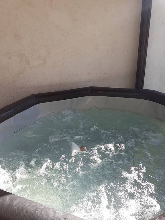 Gîte pour 4 personnes, avec jacuzzi ainsi que jardin et balcon à Salavas - 4