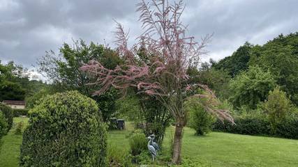 Bungalow für 2 Personen, mit Garten in Thüringen