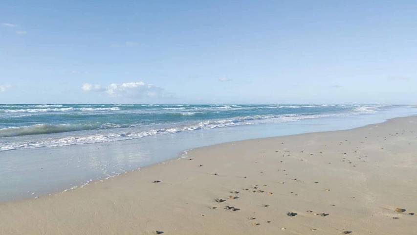 Ferienhaus für 7 Personen, mit Pool und Sauna, mit Haustier in Tranum Strand - 4