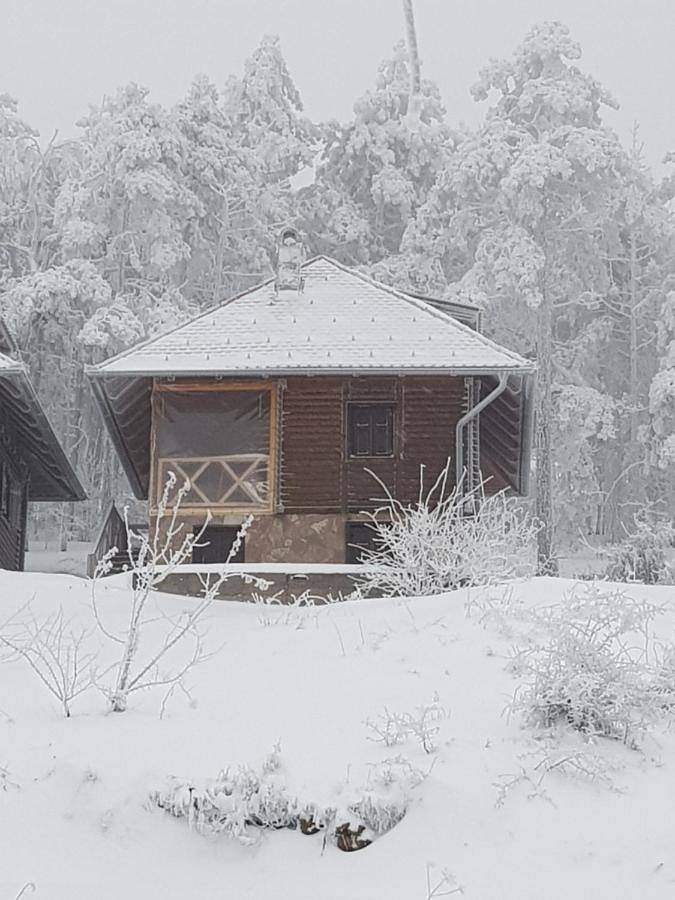 Cottage pour 7 personnes, avec vue et jardin