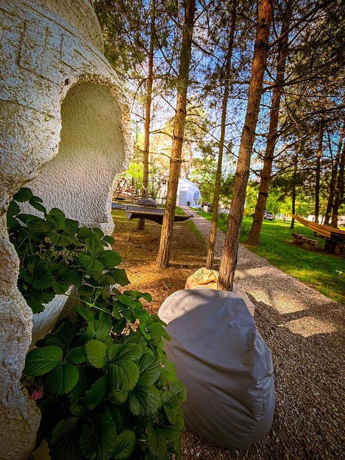 Tente pour 4 personnes, avec vue et terrasse en Pologne - 2