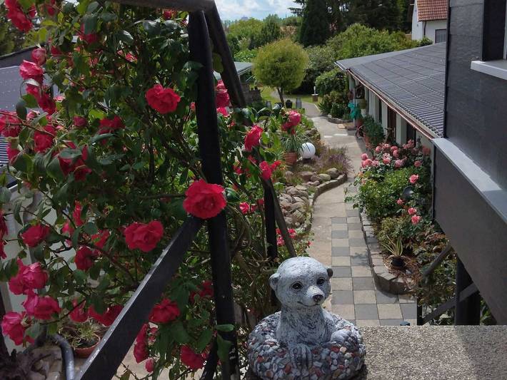 Bungalow für 2 Personen, mit Terrasse und Garten