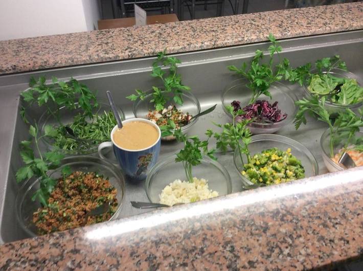 Hôtel pour 2 personnes, avec terrasse à Bergneustadt - 2