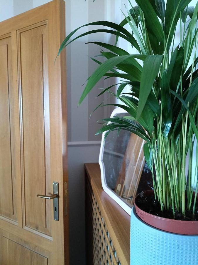 One-Bedroom House in Rimini, Rimini Provinz