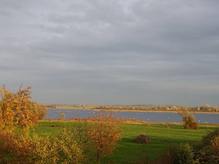 Ferienwohnung für 4 Personen, mit Terrasse und Garten auf Insel Poel - 4