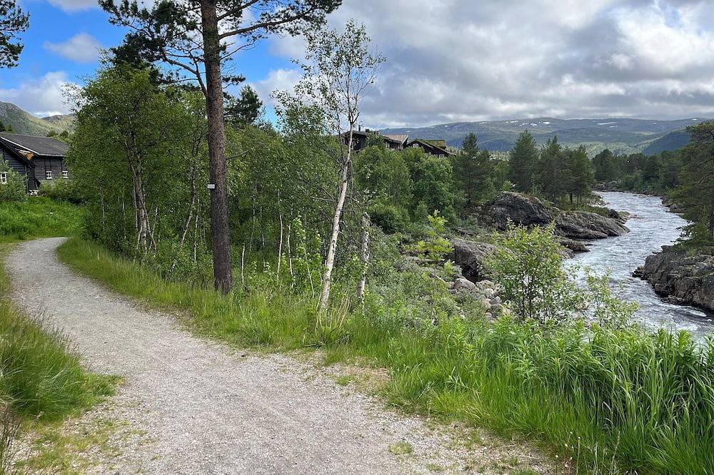 Hel leilighet, Barnevennlig leilighet på fjellet in Hovden, Bykle 
