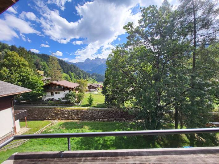 Ganze Wohnung, Wildbach in Lenk im Simmental, Lenk