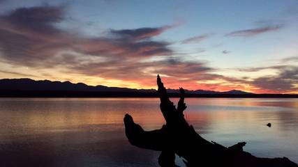 Glamping for 4 Guests in Comox Valley Regional District, Picture 3
