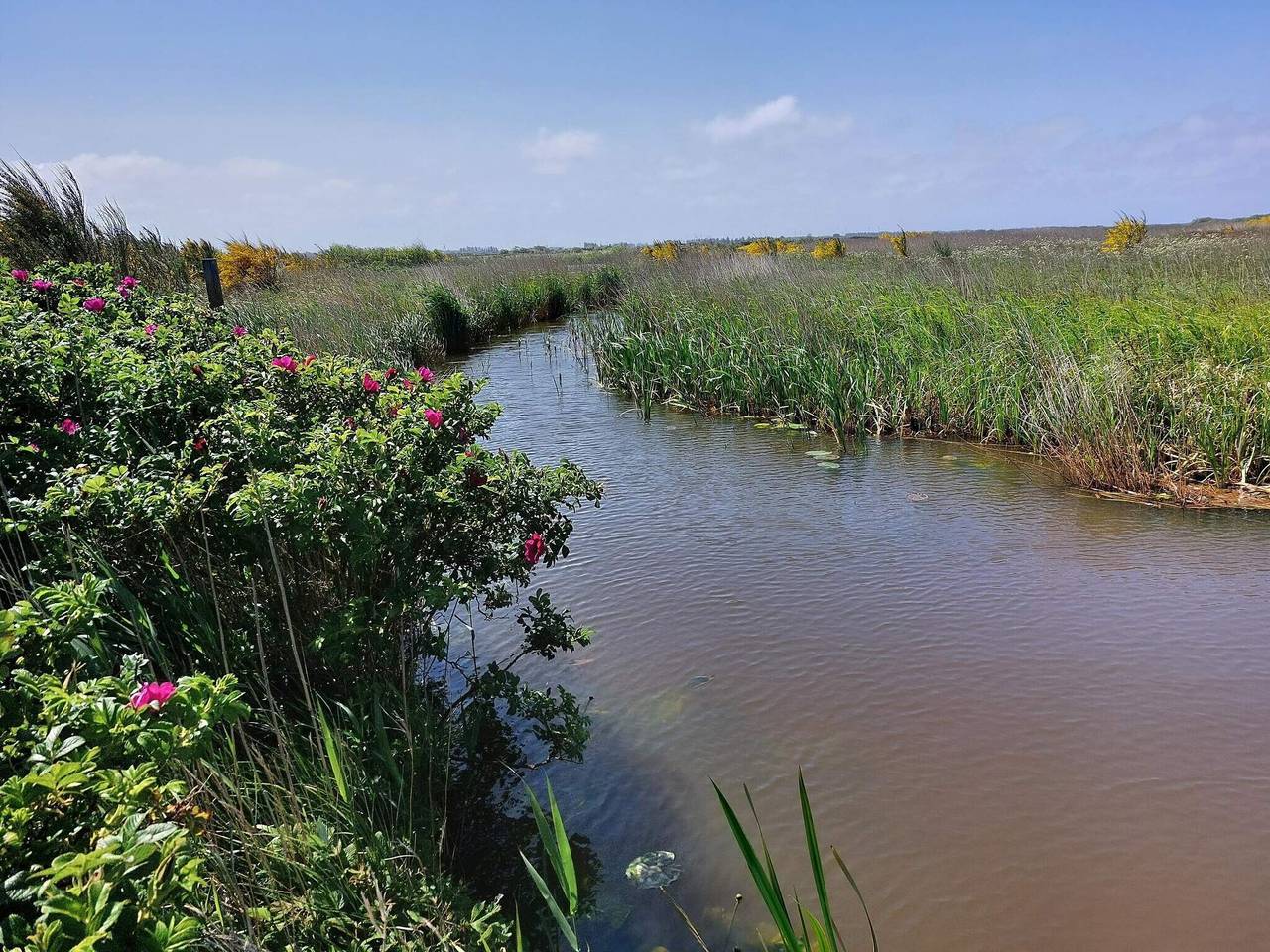 10 Personen Ferienhaus in Tarm in Skaven Strand, Ringkøbing Fjord