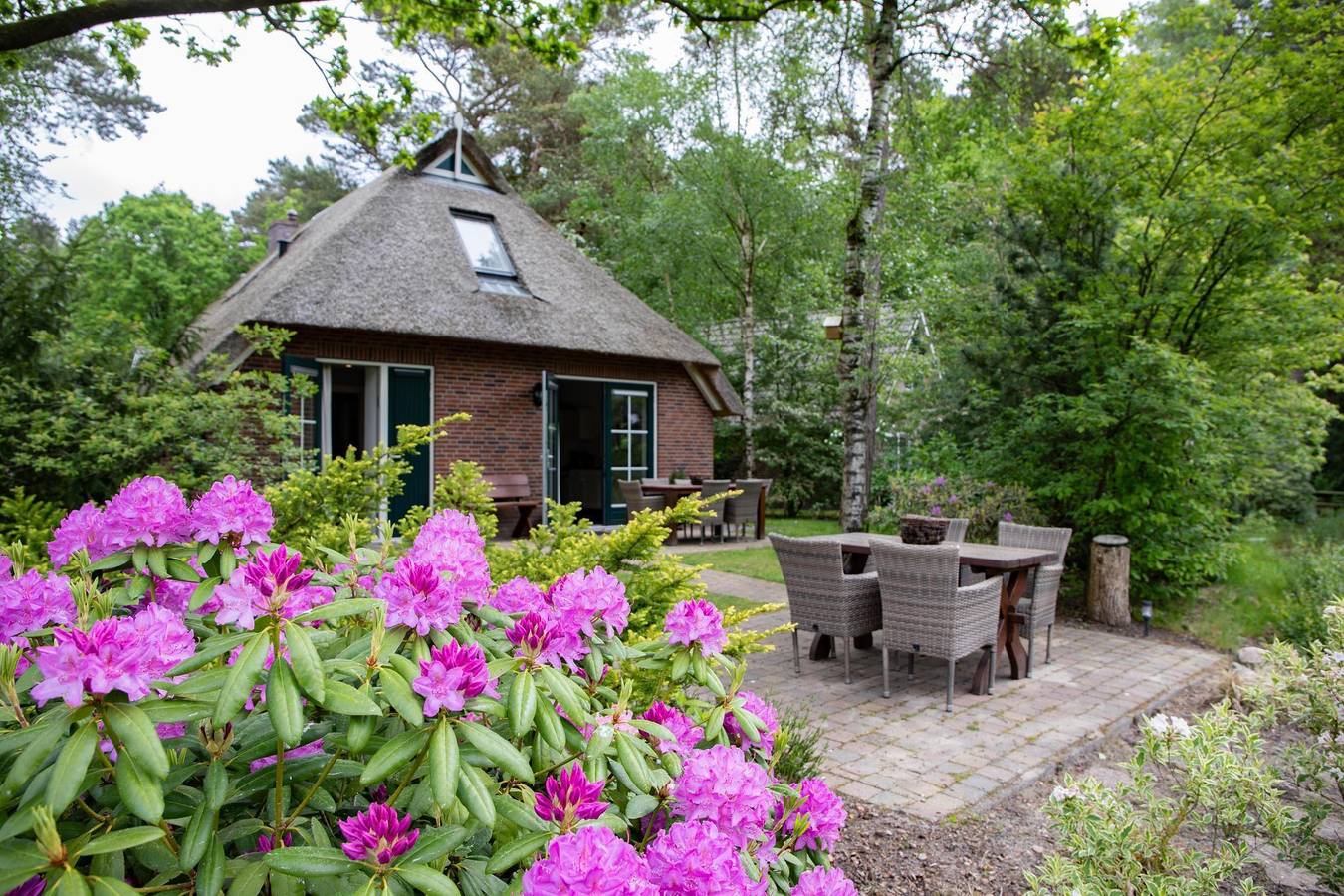 Landgoed Het Grote Zand — Stuifzand Bungalow met Bedstee | 6+2 personen in Hooghalen, Drenthe