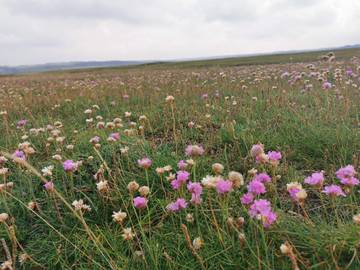 Ferieudlejning til 4 Personer i Underbjerg, Vesterhavet, Billede 4