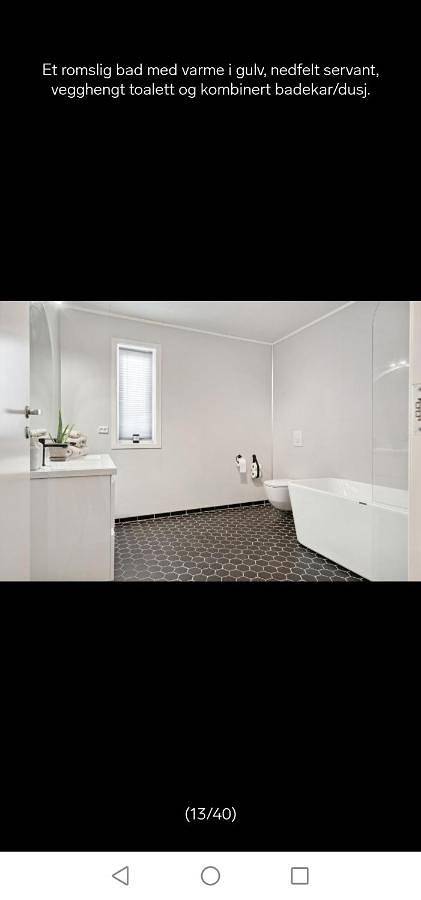 Gîte pour 5 personnes, avec jardin et terrasse, animaux acceptés à Leknes - 3