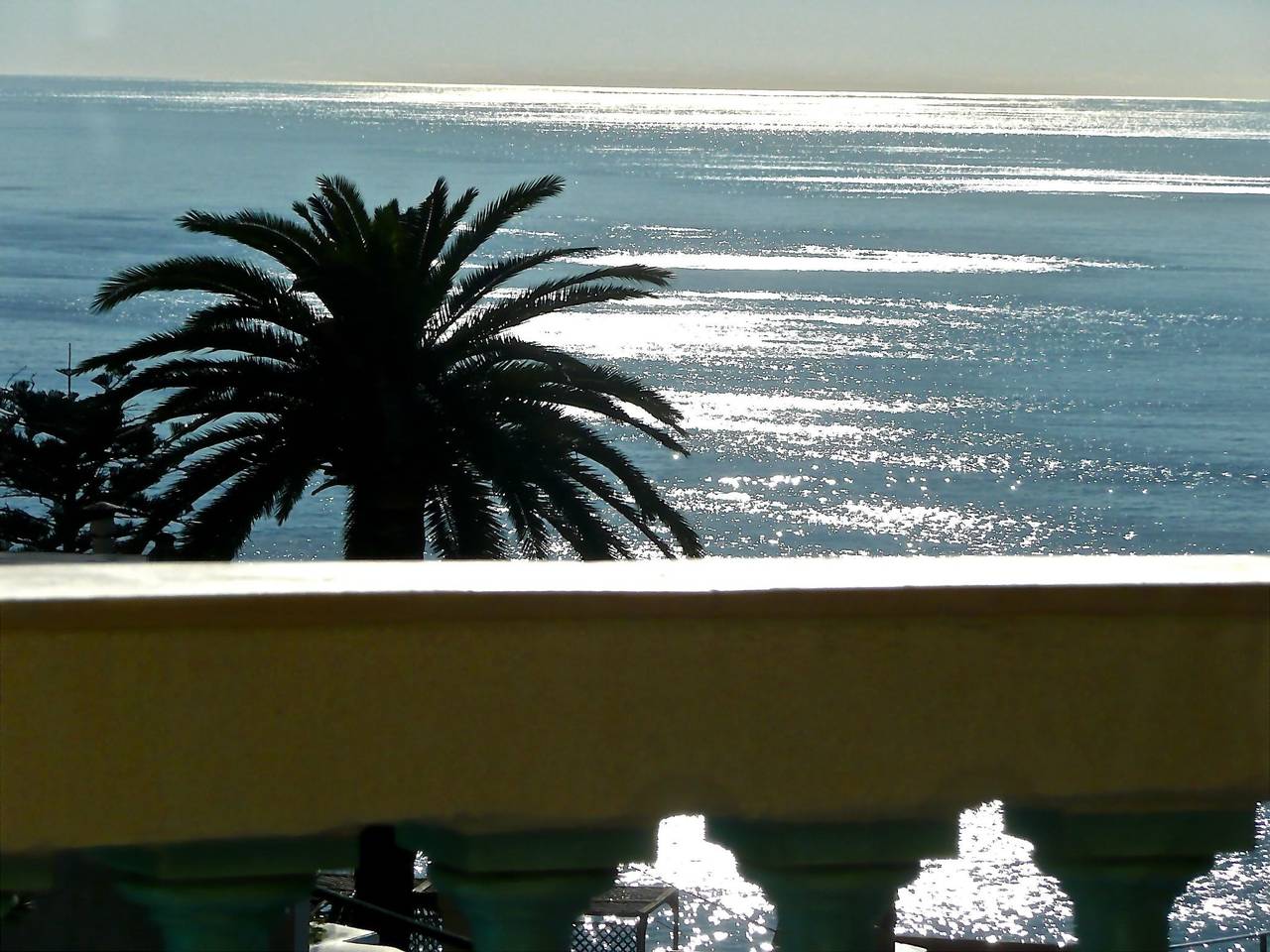Ferienvilla "Villa Dracoena". in Nizza, Mittelmeerküste (Frankreich)