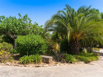 Ferienhaus in Felanitx, Mallorca Süden für 8 